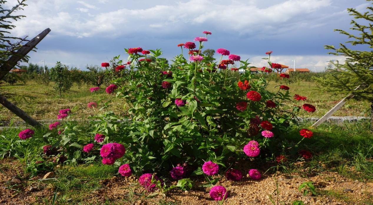 1711006678152524.png 圖片16.png